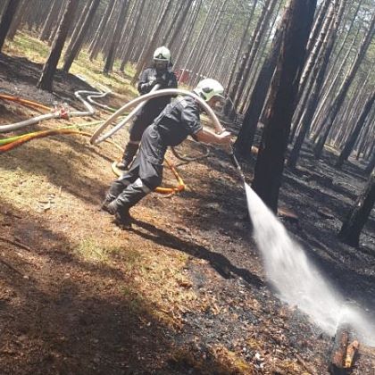 Waldbrand in Saubersdorf