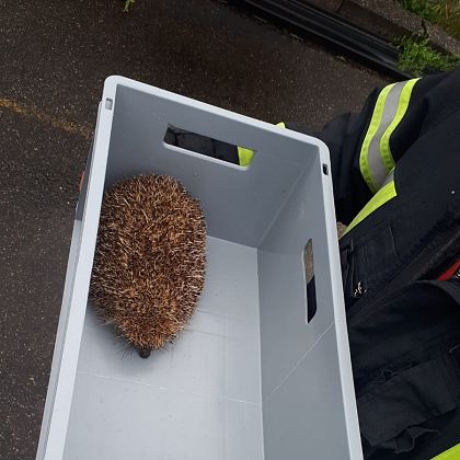 Tierrettung