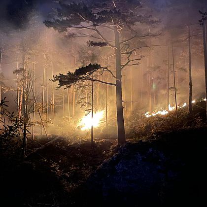 Waldbrand in Hirschwang